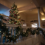 Holidays at The Phoenix